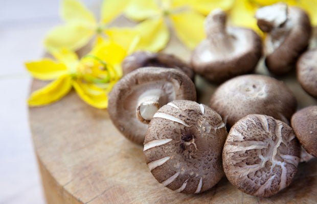 Dried Shiitake Mushroom • Just One Cookbook